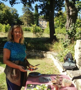 Scandiavian picnic