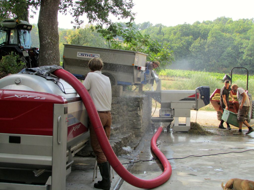Second press of Rose at the end of the day