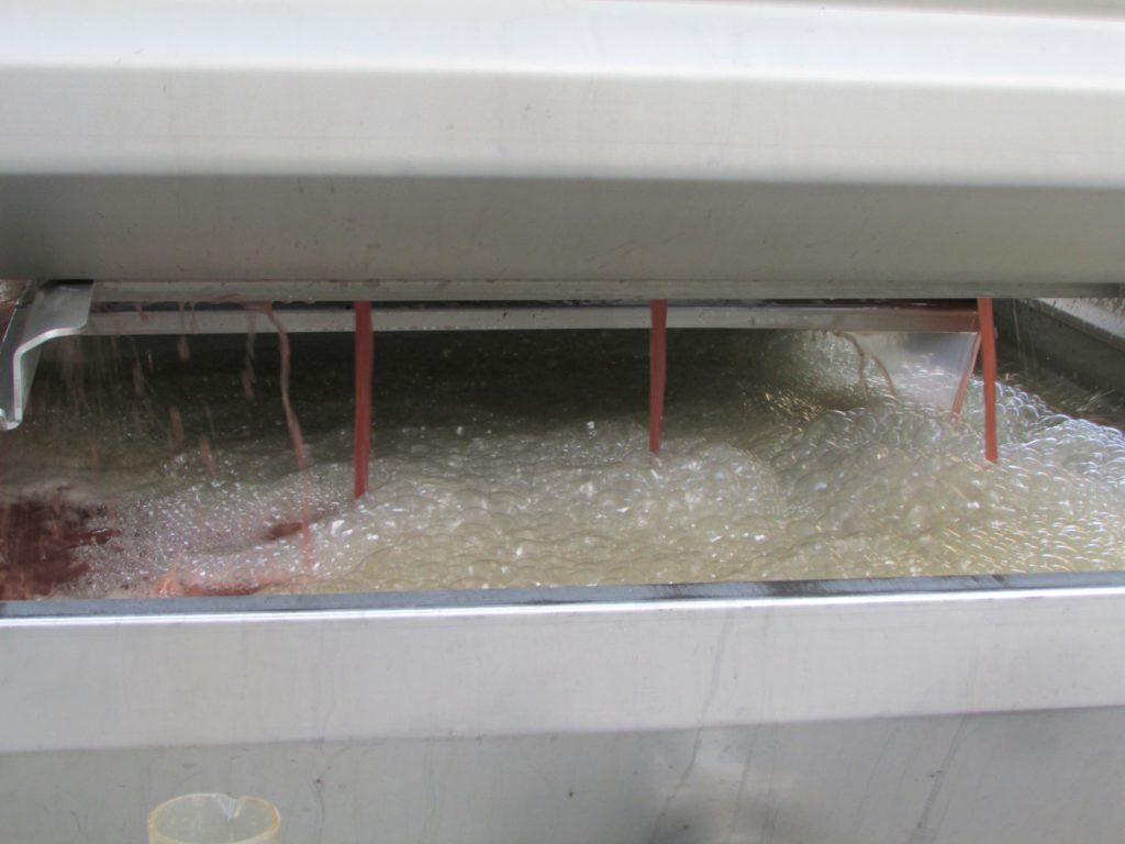Rosé squeezing out of the press